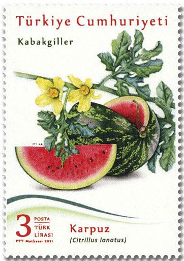 n° 4067/4069 - Timbre TURQUIE Poste