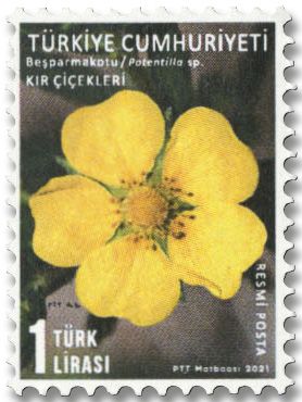 n° 406/410 - Timbre TURQUIE Timbres de service