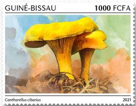 n° 9613  - Timbre GUINEE-BISSAU Poste