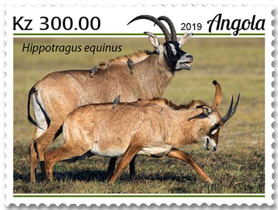 n° 2057/2060  - Timbre ANGOLA Poste