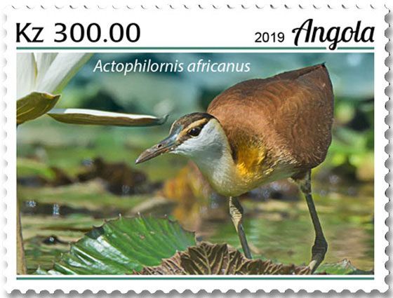 n° 2065/2068  - Timbre ANGOLA Poste