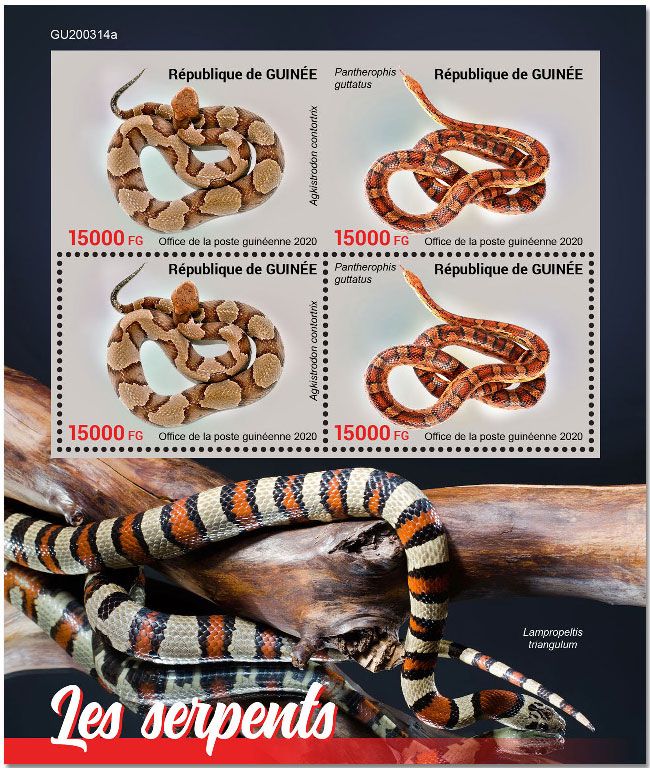 n° 10764/10765  - Timbre GUINEE Poste