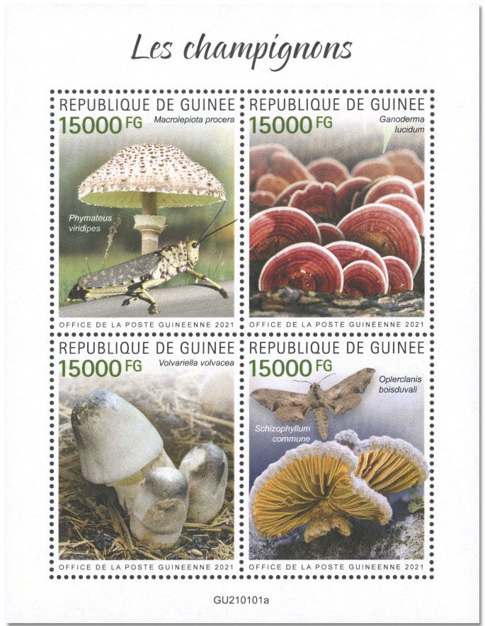 n° 10846/10849  - Timbre GUINEE Poste