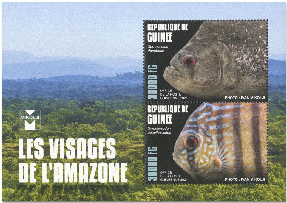 n° 10880/10881  - Timbre GUINEE Poste