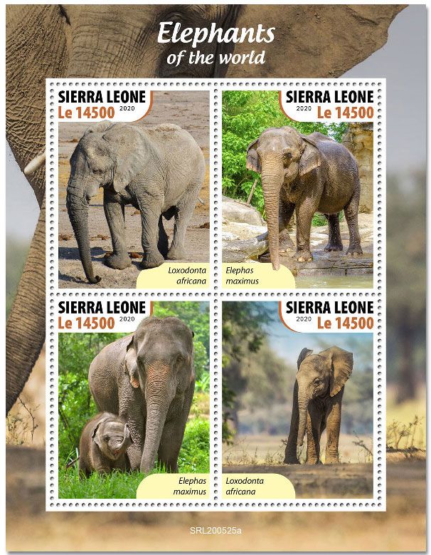 n° 10279/10282  - Timbre SIERRA LEONE Poste