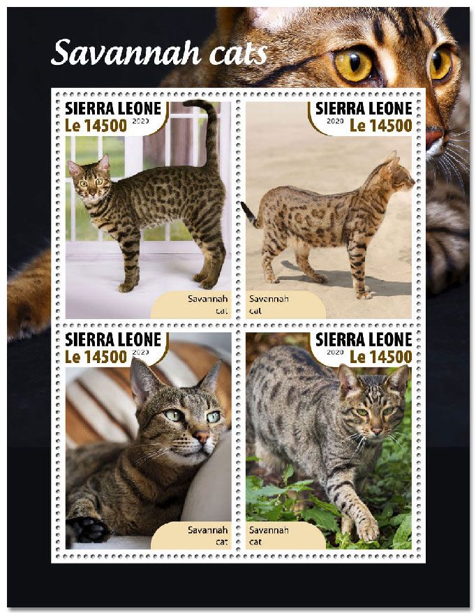 n° 10283/10286  - Timbre SIERRA LEONE Poste