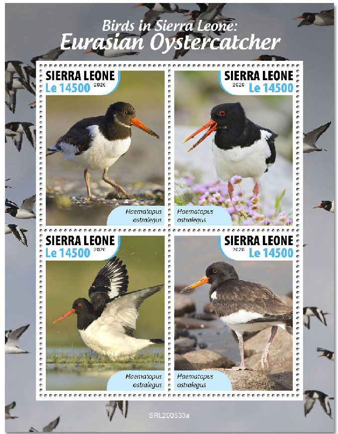 n° 10311/10314  - Timbre SIERRA LEONE Poste