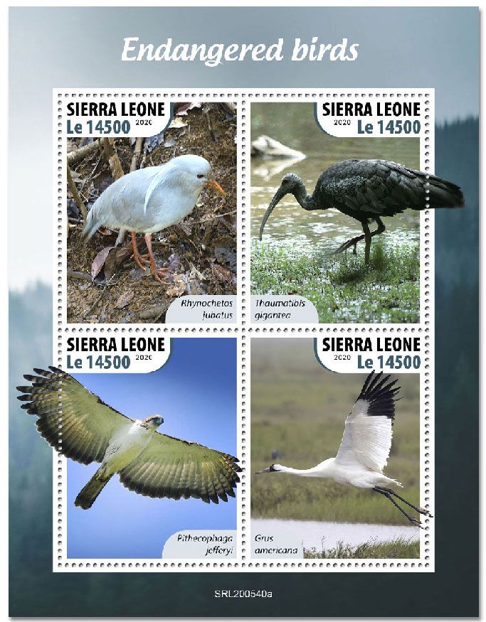 n° 10347/10350  - Timbre SIERRA LEONE Poste