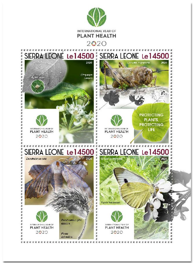 n° 10399/10402  - Timbre SIERRA LEONE Poste