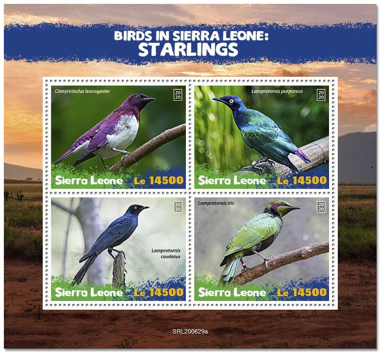 n° 10495/10498  - Timbre SIERRA LEONE Poste