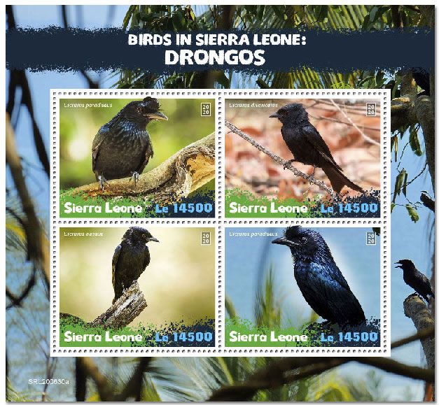 n° 10499/10502  - Timbre SIERRA LEONE Poste