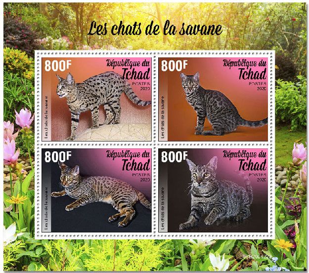 n° 2685/2688  - Timbre TCHAD Poste