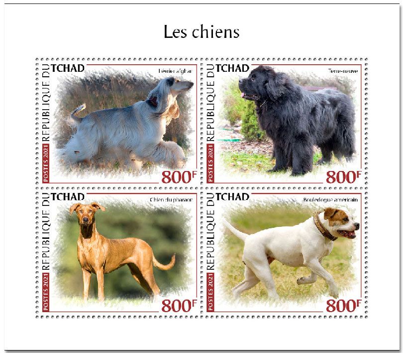 n° 3313/3316  - Timbre TCHAD Poste