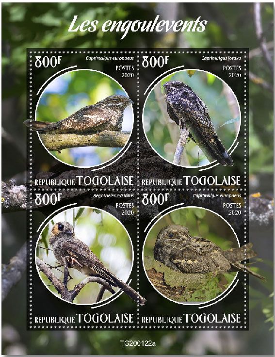 n° 7987/7990  - Timbre TOGO Poste