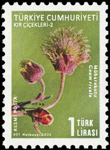 n° 411/415 - Timbre TURQUIE Timbres de service