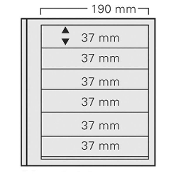 FEUILLES SPECIAL DUAL 616 : 6 BANDES (FOND TRANSPARENT - PAR 5) - SAFE®