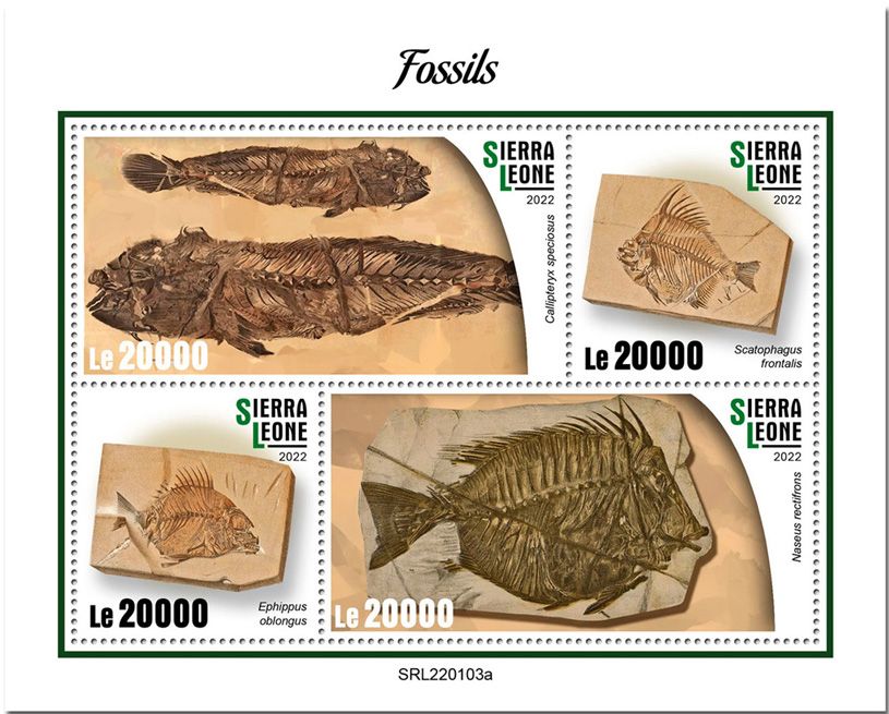 n° 10605/10608 - Timbre SIERRA LEONE Poste