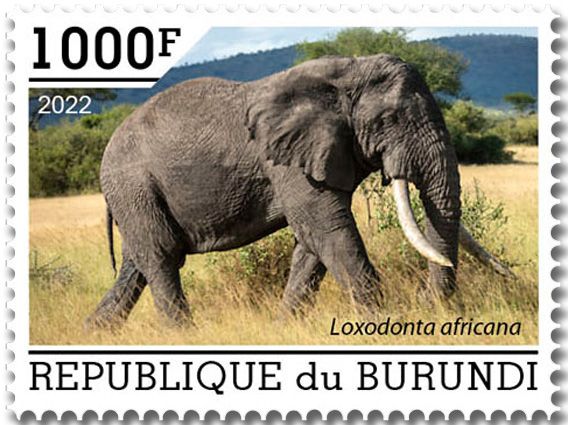 n° 2559/2563 - Timbre BURUNDI Poste