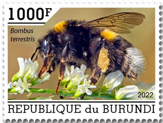 n° 2624/2628 - Timbre BURUNDI Poste