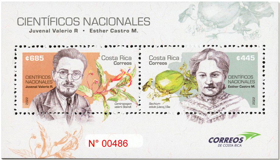 n° 94 - Timbre COSTA RICA Blocs et feuillets