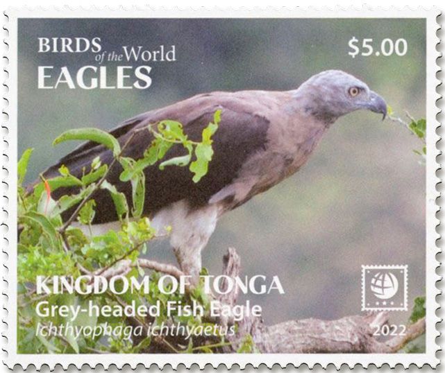 n° 1712/1715 - Timbre TONGA Poste