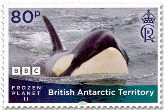 n° 805/808 - Timbre ANTARCTIQUE BRITANNIQUE Poste