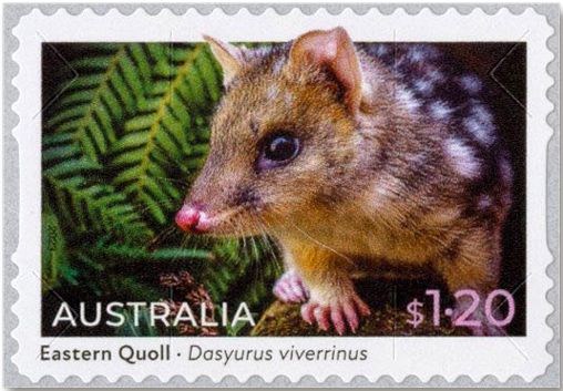 n° 5335a/5336a (la paire) - Timbre AUSTRALIE Poste