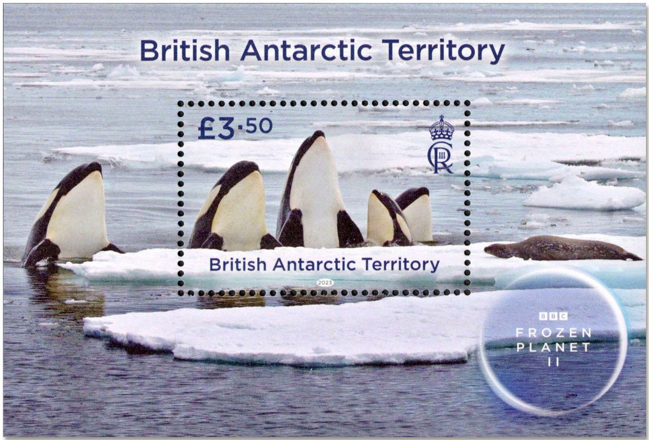 n° 31 - Timbre ANTARCTIQUE BRITANNIQUE Blocs et feuillets