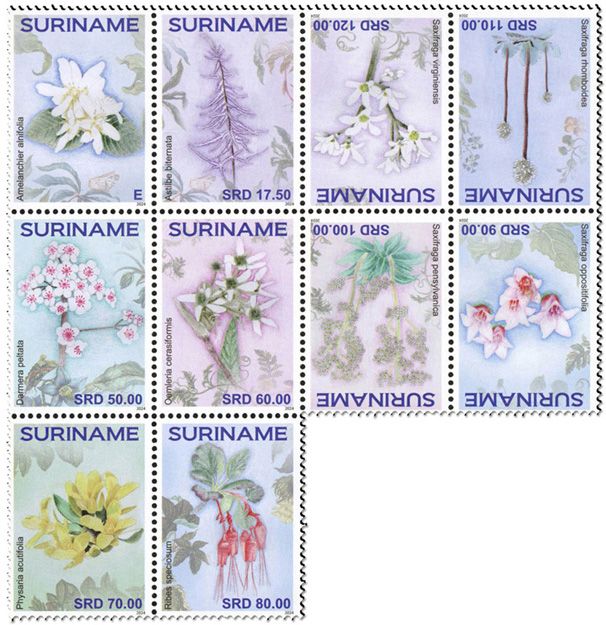 n° 3355/3364 - Timbre SURINAM Poste