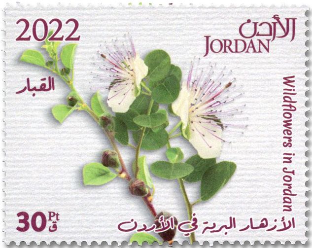 n° 2338/2347 - Timbre JORDANIE Poste