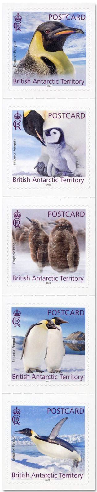 n° 825/829 - Timbre ANTARCTIQUE BRITANNIQUE Poste