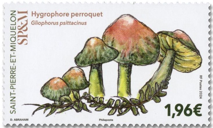 n° 1342 - Timbre Saint-Pierre et Miquelon Poste