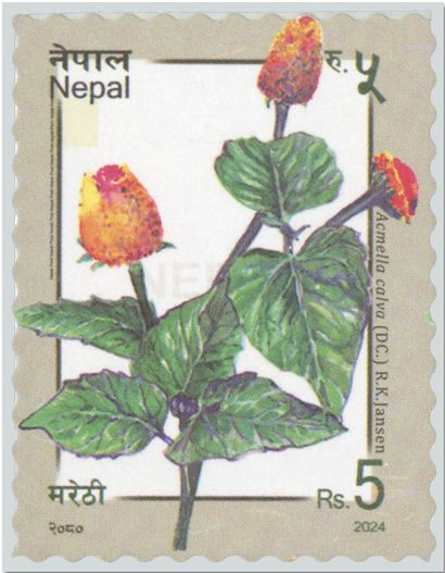 n° 1383 - Timbre NEPAL Poste