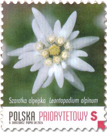 n° 5065 - Timbre POLOGNE Poste