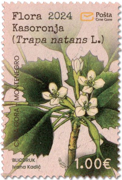 n° 514 - Timbre MONTENEGRO Poste