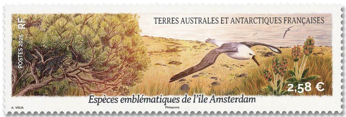 n° 1107 - Timbre TAAF Poste