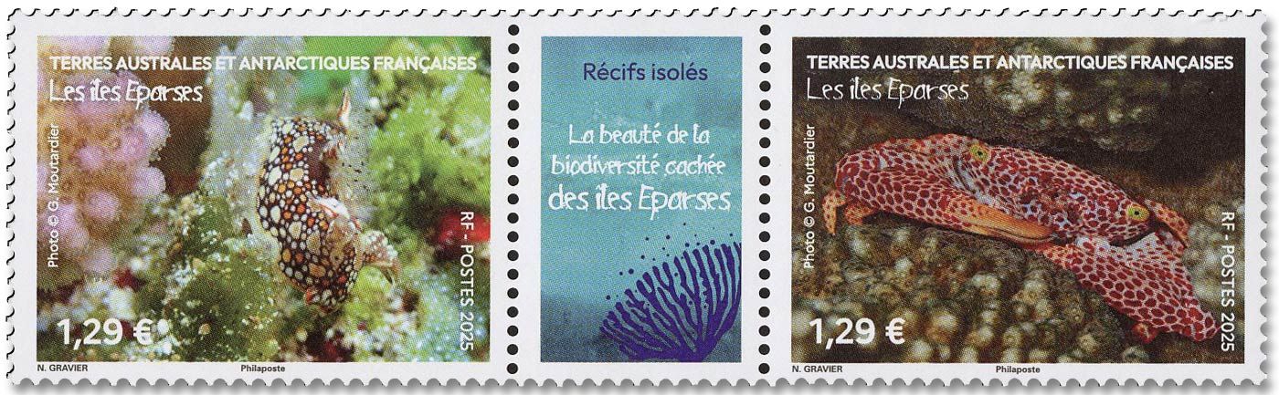 n° 1114/1115 - Timbre TAAF Poste
