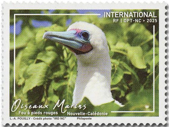 n° 1479 - Timbre Nelle Calédonie Poste