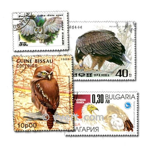 BIRDS OF PREY: envelope of 50 stamps