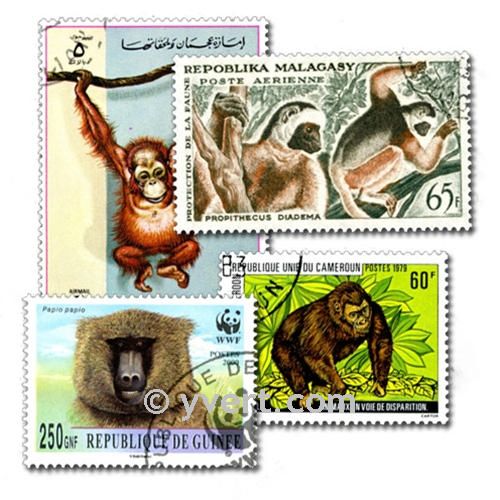 MONKEYS: envelope of 50 stamps