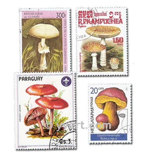 MUSHROOMS: envelope of 200 stamps