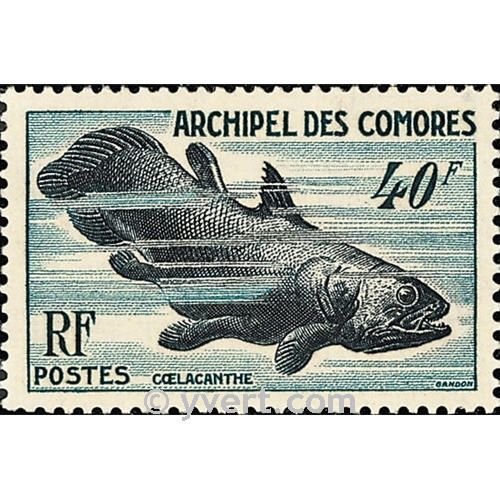 nr. 13 -  Stamp Comoro Island Mail