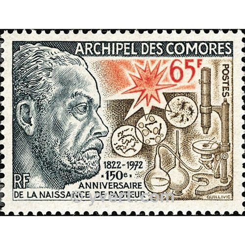 n° 79 -  Timbre Comores Poste