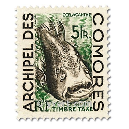 n° 3/5 -  Timbre Comores Taxe