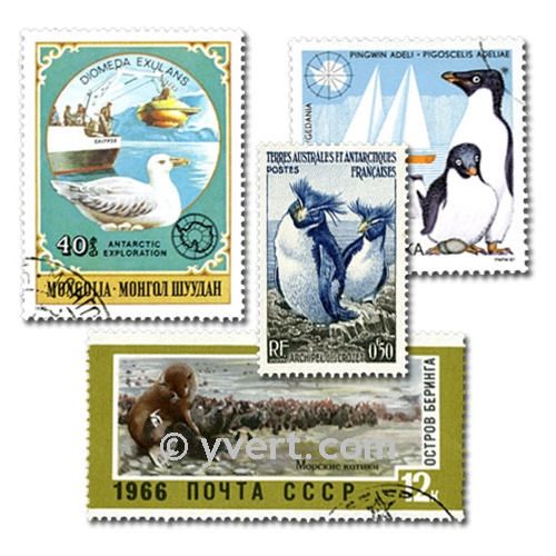 AUSTRALIE ANTARCTIQUE : pochette de 25 timbres (Oblitérés)