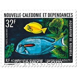 nr. 145 -  Stamp New Caledonia Air Mail