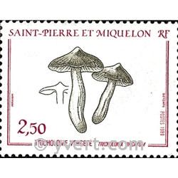 nr. 497 -  Stamp Saint-Pierre et Miquelon Mail