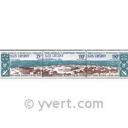 nr. 36A -  Stamp French Southern Territories Air Mail