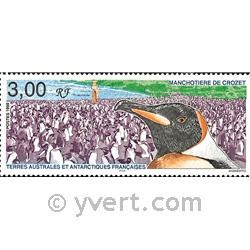 nr. 237 -  Stamp French Southern Territories Mail